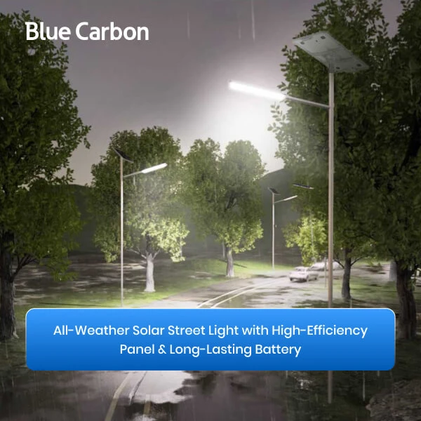 Blue Carbon High Power 12V Municipal Solar Street Light high quality