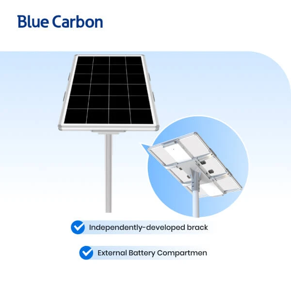Blue Carbon High Power 12V Municipal Solar Street Light best